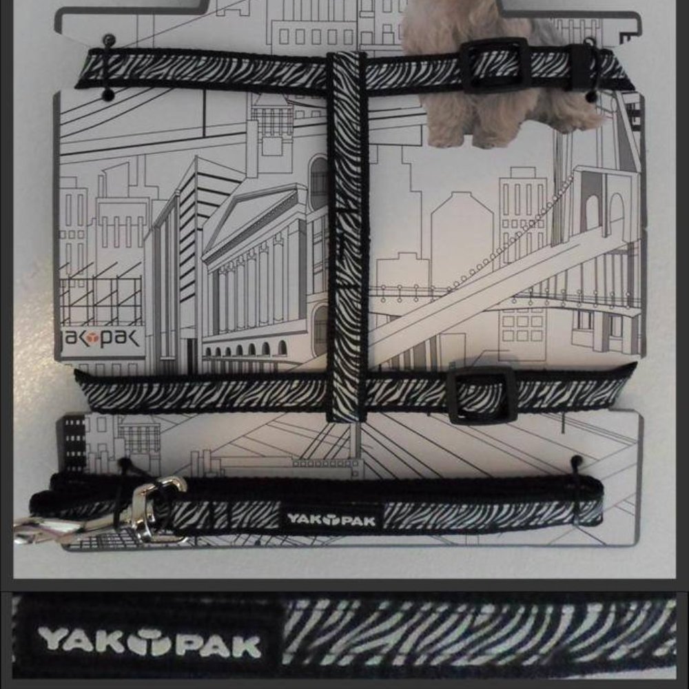 Yak Pak Dog Harness & Leash